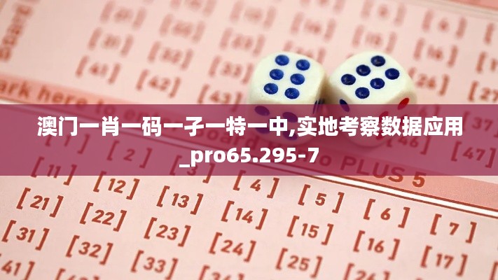 澳门一肖一码一孑一特一中,实地考察数据应用_pro65.295-7