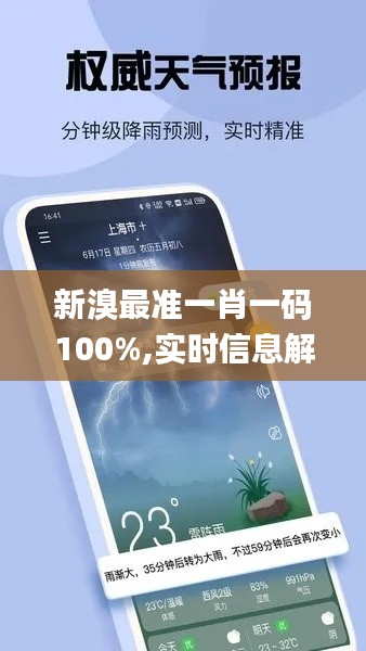 新溴最准一肖一码100%,实时信息解析说明_Galaxy52.162-1