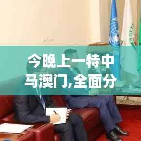 今晚上一特中马澳门,全面分析解释定义_N版17.680-4