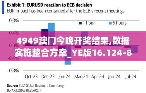 4949澳门今晚开奖结果,数据实施整合方案_YE版16.124-8