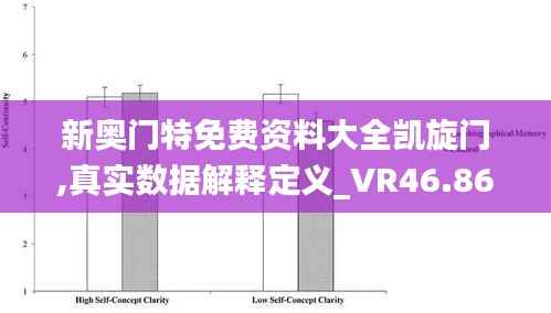 新奥门特免费资料大全凯旋门,真实数据解释定义_VR46.866-5