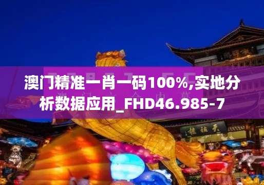 澳门精准一肖一码100%,实地分析数据应用_FHD46.985-7