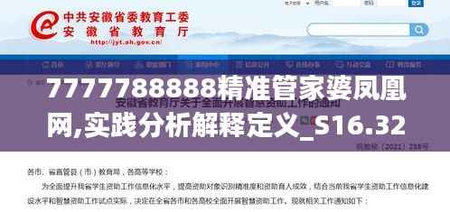 7777788888精准管家婆凤凰网,实践分析解释定义_S16.329-4
