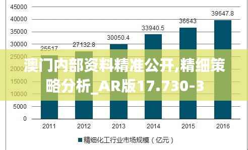澳门内部资料精准公开,精细策略分析_AR版17.730-3