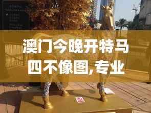 澳门今晚开特马四不像图,专业解答执行_粉丝版69.349-9