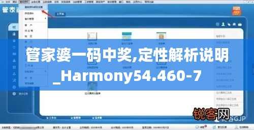 管家婆一码中奖,定性解析说明_Harmony54.460-7