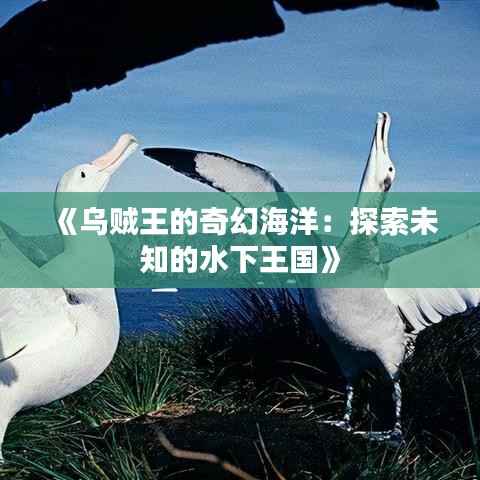 《乌贼王的奇幻海洋:探索未知的水下王国》