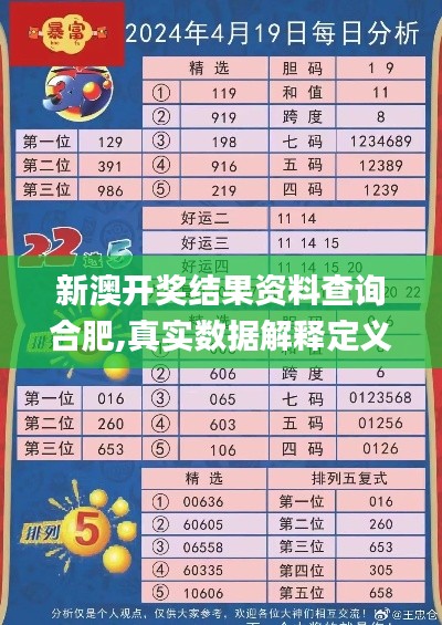 新澳开奖结果资料查询合肥,真实数据解释定义_W21.513-7