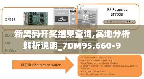 新奥码开奖结果查询,实地分析解析说明_7DM95.660-9