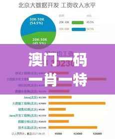澳门一码一肖一特一中123,数据驱动计划_网页版2.211-9