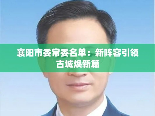 襄阳市委常委名单:新阵容引领古城焕新篇