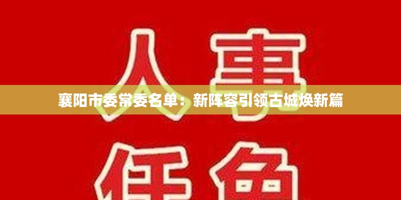 襄阳市委常委名单:新阵容引领古城焕新篇