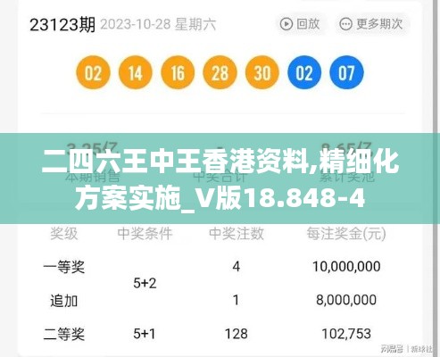 二四六王中王香港资料,精细化方案实施_V版18.848-4