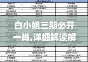 白小姐三期必开一肖,详细解读解释定义_进阶版79.105-8