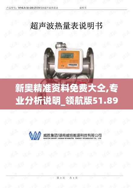 新奥精准资料免费大仝,专业分析说明_领航版51.895-7