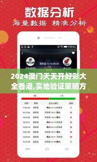 2024澳门天天开好彩大全香港,实地验证策略方案_专业款174.898-4