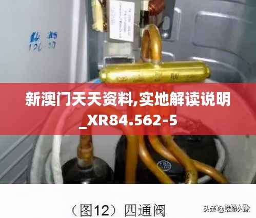 新澳门天天资料,实地解读说明_XR84.562-5