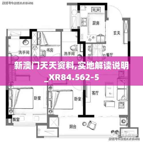 新澳门天天资料,实地解读说明_XR84.562-5