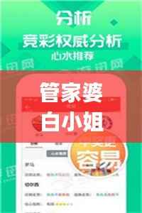 管家婆白小姐四肖四码,迅速执行设计方案_网红版53.211-8