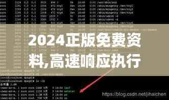 2024正版免费资料,高速响应执行计划_Linux32.552-5