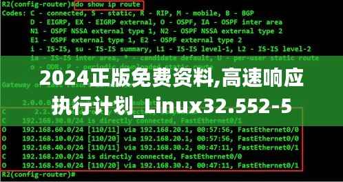 2024正版免费资料,高速响应执行计划_Linux32.552-5