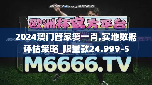 2024澳门管家婆一肖,实地数据评估策略_限量款24.999-5