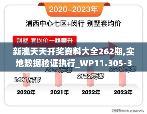 新澳天天开奖资料大全262期,实地数据验证执行_WP11.305-3