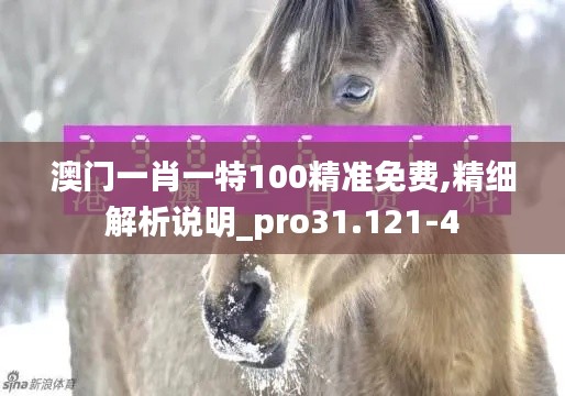 澳门一肖一特100精准免费,精细解析说明_pro31.121-4