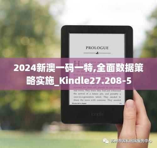 2024新澳一码一特,全面数据策略实施_Kindle27.208-5