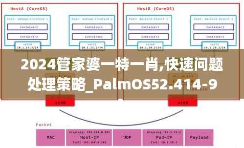 2024管家婆一特一肖,快速问题处理策略_PalmOS52.414-9