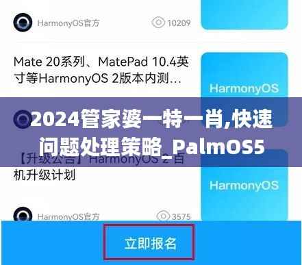 2024管家婆一特一肖,快速问题处理策略_PalmOS52.414-9