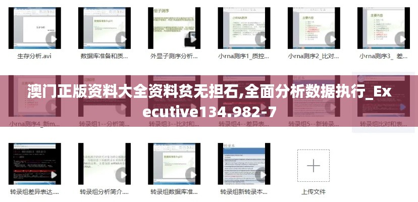 澳门正版资料大全资料贫无担石,全面分析数据执行_Executive134.982-7