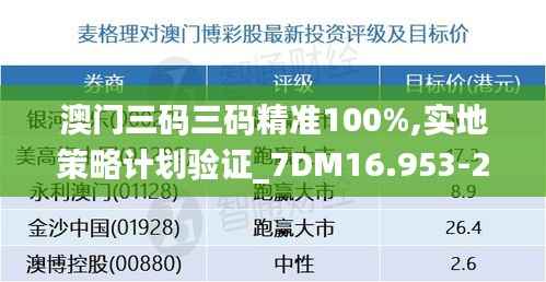 澳门三码三码精准100%,实地策略计划验证_7DM16.953-2