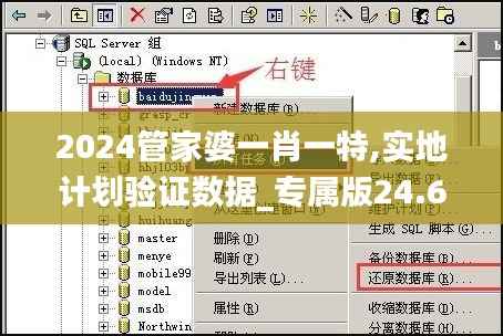2024管家婆一肖一特,实地计划验证数据_专属版24.661-1