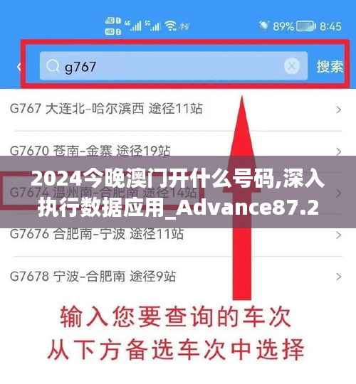 2024今晚澳门开什么号码,深入执行数据应用_Advance87.238-5