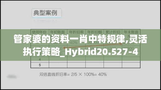 管家婆的资料一肖中特规律,灵活执行策略_Hybrid20.527-4