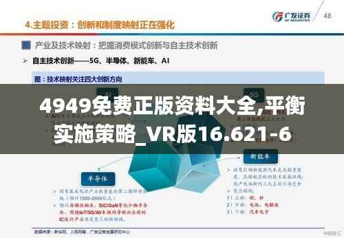 4949免费正版资料大全,平衡实施策略_VR版16.621-6