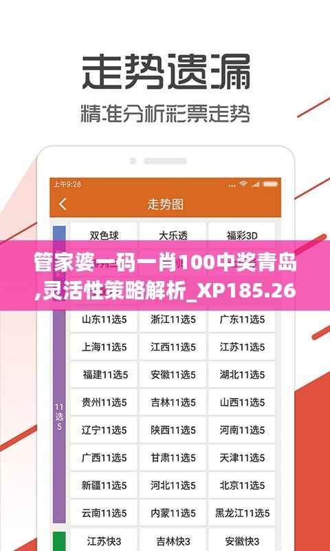管家婆一码一肖100中奖青岛,灵活性策略解析_XP185.269-5