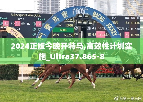 2024正版今晚开特马,高效性计划实施_Ultra37.865-8