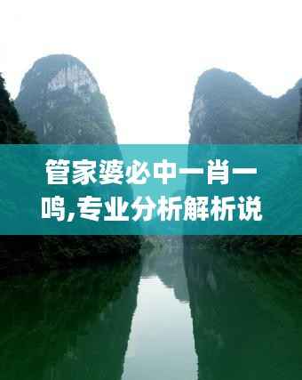 管家婆必中一肖一鸣,专业分析解析说明_影像版44.804-7