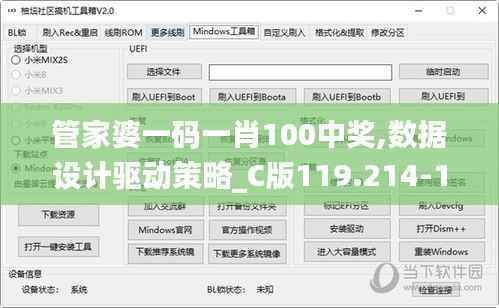 管家婆一码一肖100中奖,数据设计驱动策略_C版119.214-1