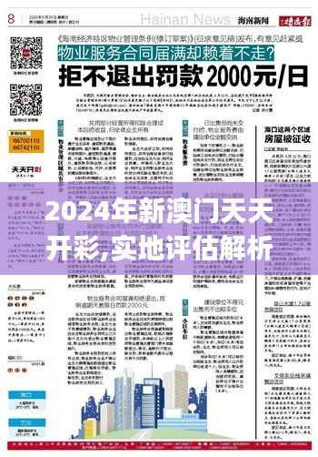 2024年新澳门天天开彩,实地评估解析说明_精英款95.623-1