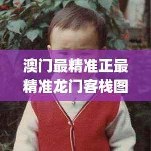 澳门最精准正最精准龙门客栈图库,平衡实施策略_专业款71.877-9