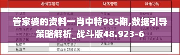 管家婆的资料一肖中特985期,数据引导策略解析_战斗版48.923-6