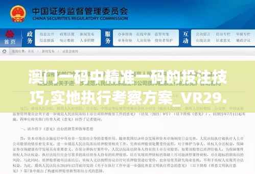 澳门一码中精准一码的投注技巧,实地执行考察方案_VR29.459-7