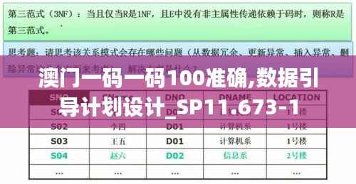 澳门一码一码100准确,数据引导计划设计_SP11.673-1