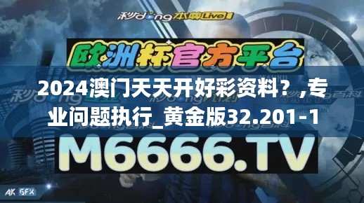 2024澳门天天开好彩资料?,专业问题执行_黄金版32.201-1