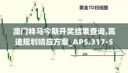 澳门特马今期开奖结果查询,高速规划响应方案_AP5.317-5