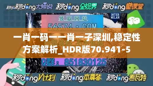 一肖一码一一肖一子深圳,稳定性方案解析_HDR版70.941-5