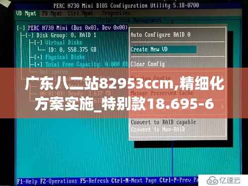 广东八二站82953ccm,精细化方案实施_特别款18.695-6